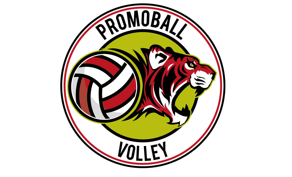 promoball-head