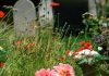 Cimitero di Piacenza: 62enne precipita in un loculo