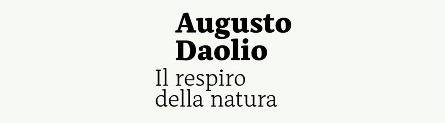 Augusto Daolio. Il silenzio della natura