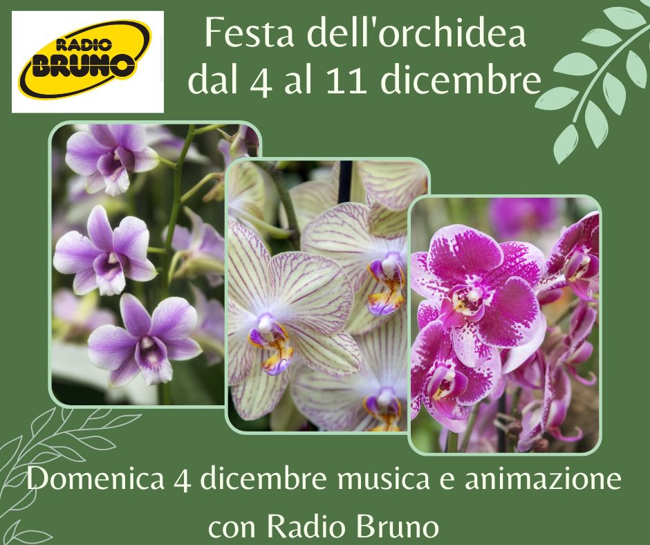 MB GARDEN Grande festa dell'Orchidea dal 4 all'11 Dicembre