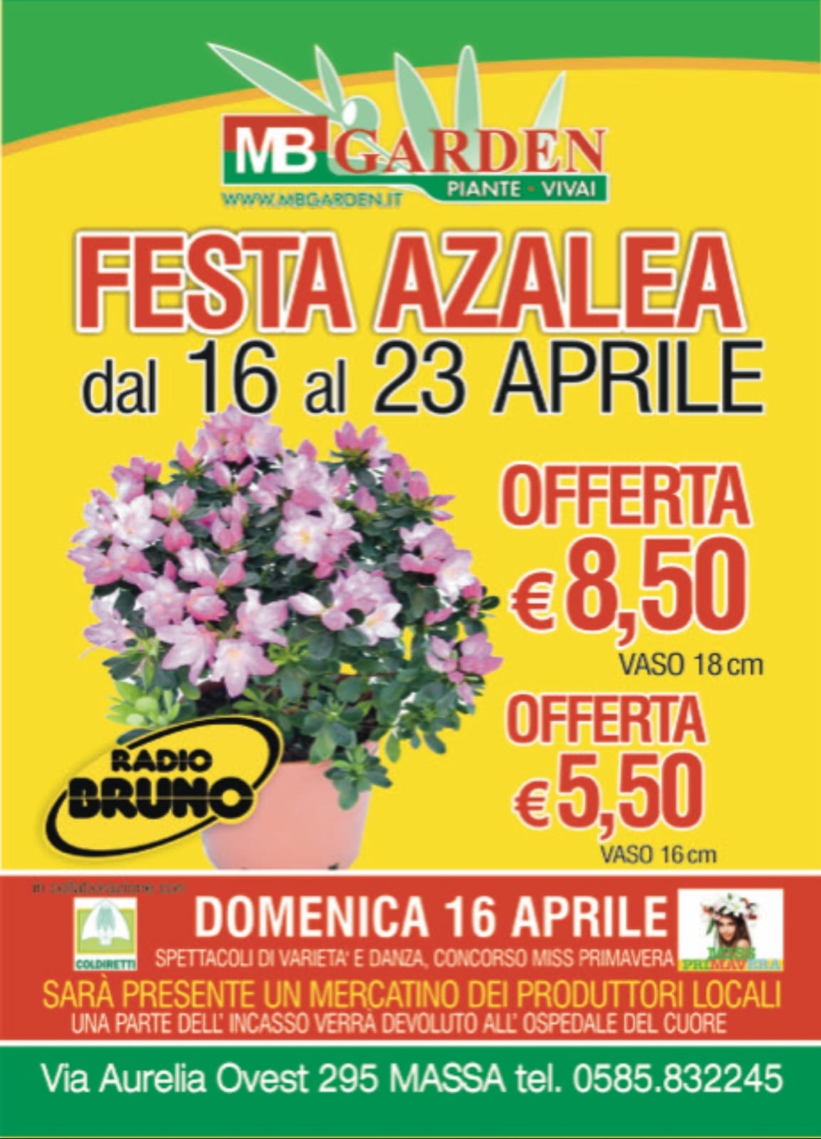 Torna la Festa dell'Azalea, la più grande d'Italia, presso la M.B. Garden di Massa. Radio Bruno media partner.