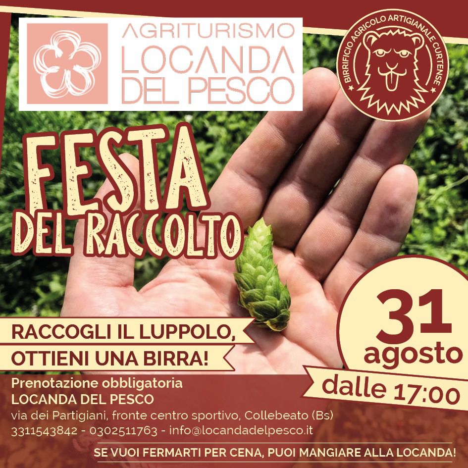 Collebeato, Festa del Raccolto: il luppolo diventa birra, domenica 31 agosto!