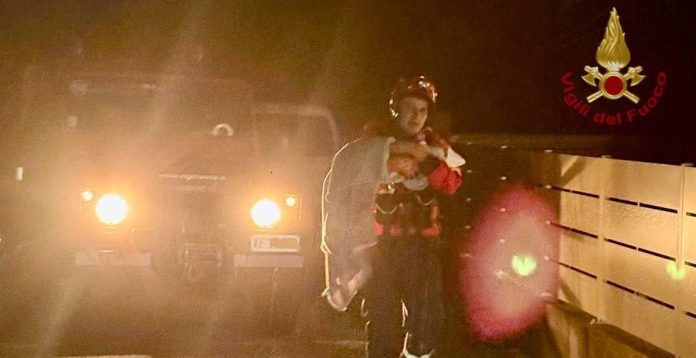 NEONATO TREBASELEGHE PD VVF