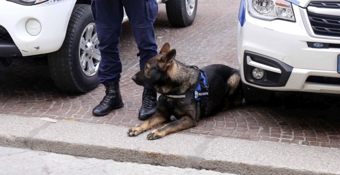 FESTA POLIZIA MUNICIPALE 2019CANE VICTOR ANTIDROGA