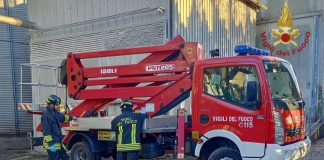 Operaio di 47 anni precipita da un silos e muore