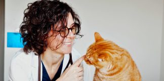 Importanti novità per la terapia contro la FIP che ora fa meno paura