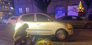 Anziani investiti mentre passeggiano con il loro cagnolino