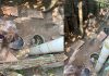 In piccoli serragli, in condizioni igienico-sanitarie pessime: 3 cani sequestrati dall’Oipa