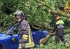 Maltempo in Emilia-Romagna: numerose richieste per alberi abbattuti e coperture divelte