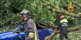 Maltempo in Emilia-Romagna: numerose richieste per alberi abbattuti e coperture divelte