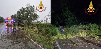 Maltempo: in Veneto 390 interventi dei Vigili del Fuoco