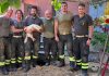 Cagnolina di 17 anni finisce in un’intercapedine: salvata dai Vigili del Fuoco